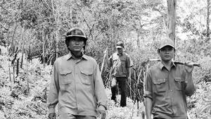 Những chặng đường không mỏi.