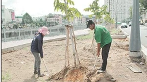 Công nhân trồng cây xanh ven bờ kênh.