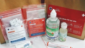 (Ảnh minh họa: HCDC)