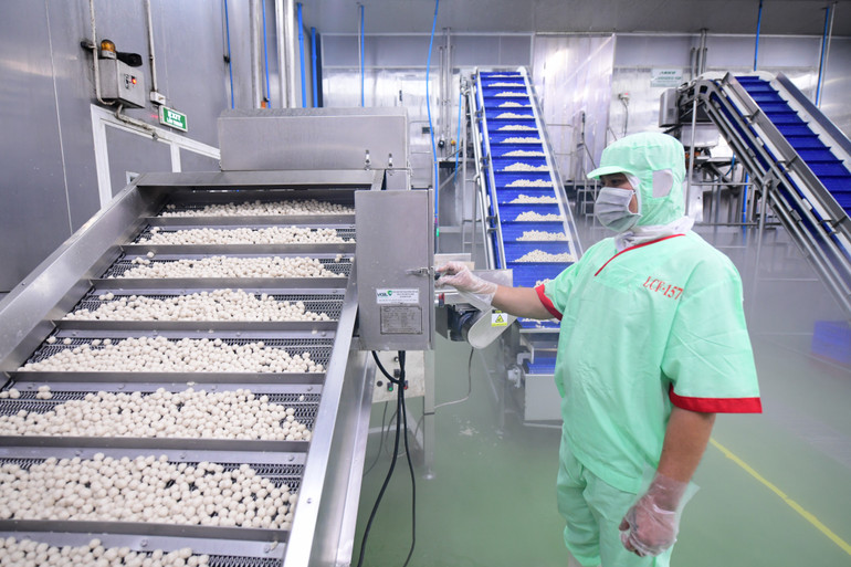 Hiện nay, các doanh nghiệp lớn đã chủ động tích hợp các tiêu chí ESG vào chiến lược quản trị, sản xuất, chuỗi cung ứng, thậm chí quảng bá thương hiệu xanh. lc-foods-day-chuyen-ca-vien.jpg