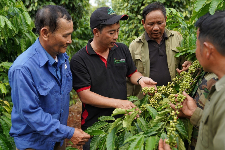 Chương trình Nescafé Plan tại Tây Nguyên. cf-1.jpg