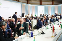 Các nhà lãnh đạo Arab và Hồi giáo thảo luận bên lề Hội nghị OIC. Ảnh: GettyImages