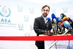 Đại sứ Iran tại IAEA, ông Reza Najafi. Ảnh: AP