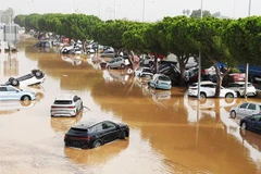 Mưa lũ gây hậu quả nghiêm trọng ở Valencia. Ảnh: AP