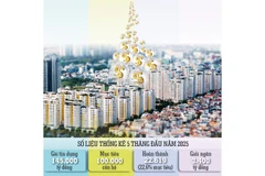 Đồ họa: KHIẾU MINH/ Ảnh: THÀNH ĐẠT