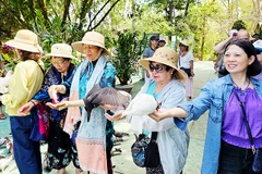 Những chuyến đi thân thiện môi trường thu hút khách du lịch. Ảnh: NAM NGUYỄN