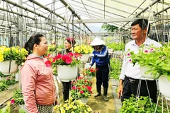 Nông dân phấn khởi vì được mượn đất sản xuất, phát triển kinh tế.
