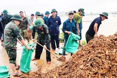 Lực lượng vũ trang tỉnh Thanh Hóa gia cố đê ở vùng trũng Hà Trung. 