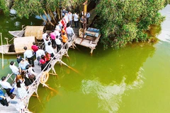 Tìm ký ức xưa giữa rừng tràm