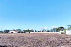 Gia Lai hiện có hơn 80 nghìn ha cà-phê, sản lượng hằng năm đạt hàng trăm nghìn tấn.