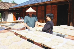 Miến dong ở Côn Minh vẫn được phơi nắng theo phương pháp truyền thống.