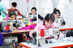 Các cơ sở sản xuất, kinh doanh cá thể là đối tượng được mở rộng thu thập thông tin điều tra. Ảnh: NAM NGUYỄN