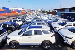 Việt Nam chi 4,74 tỷ USD nhập khẩu ô-tô trong năm 2025. Ảnh: TPO