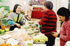 Với nhiều hộ kinh doanh nhỏ, việc làm quen với các ứng dụng công nghệ gặp nhiều khó khăn. Ảnh: NAM ANH