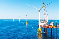 Việt Nam còn nhiều tiềm năng phát triển điện gió ngoài khơi.