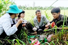 Bữa cơm mùa gặt.