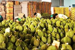 Ngành sầu riêng cần đi bằng cả chất lượng và minh bạch.