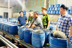 Đại tá Trần Quốc Huy, Phó Giám đốc Công an tỉnh Lào Cai, trực tiếp chỉ đạo hoạt động kiểm tra các cơ sở làm giá đỗ trên địa bàn tỉnh. Ảnh: TTXVN
