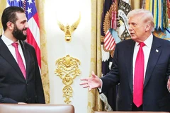 Tổng thống Syria Ahmed al-Sharaa (bên trái) gặp gỡ người đồng cấp Mỹ Donald Trump tại Washington. Ảnh: AP