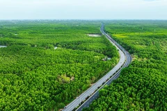 Đường Rừng Sác trở thành động lực tăng trưởng cho huyện Cần Giờ.