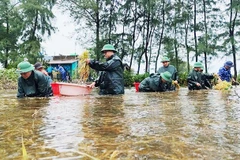 Đồn Biên phòng Cửa khẩu cảng Cửa Việt cùng Hải đội 202 Cảnh sát biển hỗ trợ người dân thôn 5, xã Gio Hải, huyện Gio Linh thu hoạch lúa bị ngập úng. Ảnh: VGPMT