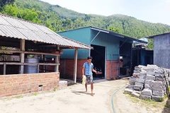 Người dân thôn Chánh Thắng, xã Cát Tiến (Gia Lai) mỏi mòn chờ tái định cư.