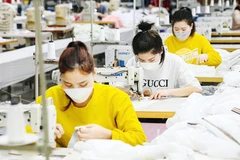 Chín tháng năm 2025, cả nước có 230 nghìn doanh nghiệp thành lập mới và quay trở lại hoạt động. Ảnh: THÀNH ĐẠT
