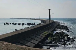 Sóng lớn làm các lao động người Việt gặp nạn tại biển Nhật Bản. (Ảnh: Japan Times)