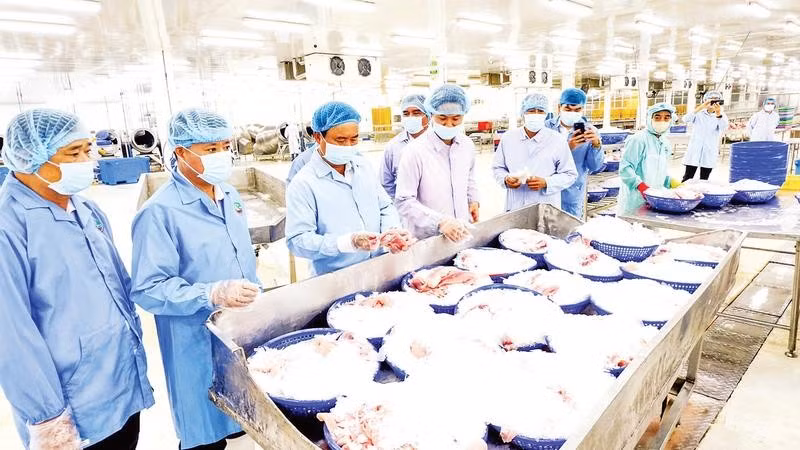 Lĩnh vực chế biến và xuất khẩu thủy, hải sản góp phần vào tăng trưởng kinh tế của tỉnh.