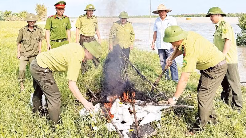 Lực lượng chức năng tỉnh Nghệ An xử lý các bẫy chim hoang dã.