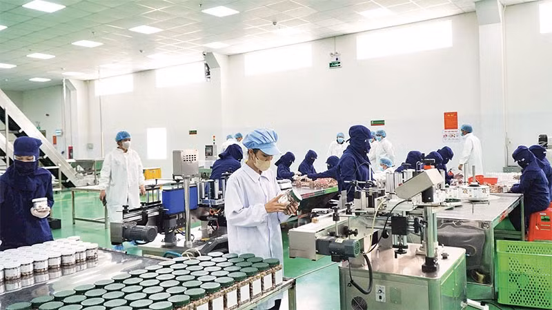 Khu vực sản xuất của Công ty cổ phần Tập đoàn Gia Bảo, tỉnh Đồng Nai.