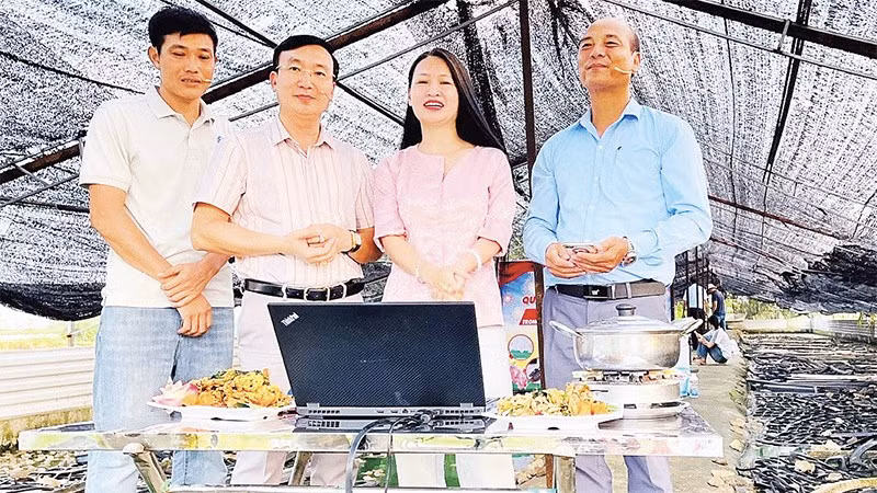 Phiên livestream giới thiệu nông sản lần thứ 5 xã Ứng Hòa (Ảnh KIM XUYẾN)