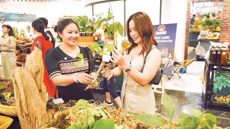 Du khách tìm hiểu, mua sắm tại Chương trình giới thiệu, quảng bá sâm Ngọc Linh và dược liệu thành phố Đà Nẵng.