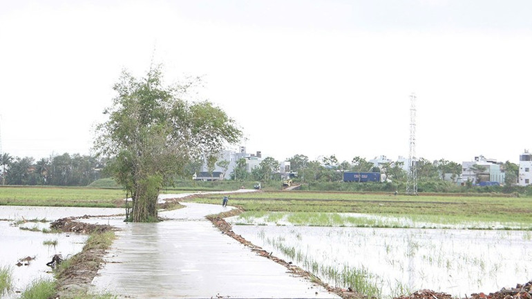 Nhiều đường liên thôn được xây dựng nhờ sự đồng thuận, hiến đất làm đường của nhân dân. ndo_br_11.jpg