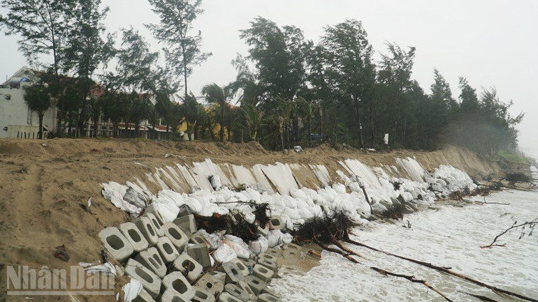 Sạt lở bờ biển phường Hội An Tây. ndo_bl_a1-6832.jpg