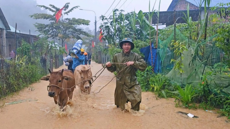 Lực lượng địa phương đưa người, tài sản, gia súc ra khỏi vùng có nguy cơ ngập. 1055307666423739897-9743.jpg