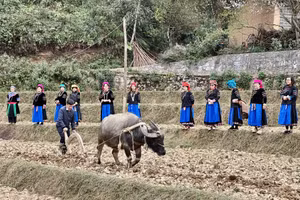 Sau nghi lễ Pặt Oong, người dân tộc Pu Péo, thôn Chúng Trải, xã Phố Bảng bước vào vụ gieo trồng mới.