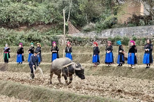 Sau nghi lễ Pặt Oong, người dân tộc Pu Péo, thôn Chúng Trải, xã Phố Bảng bước vào vụ gieo trồng mới.