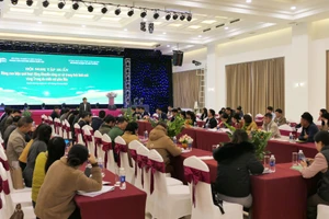 Toàn cảnh lớp tập huấn.