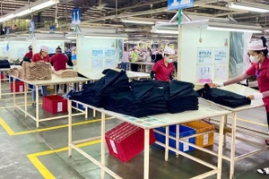 Đến nay, các nội dung kiến nghị của người lao động đều đã được Công ty TNHH Panko Vina xem xét giải quyết. 