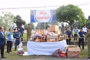 Tiêu hủy ma túy tại tỉnh Sayaboury (Bắc Lào). (Ảnh: PASAXON)