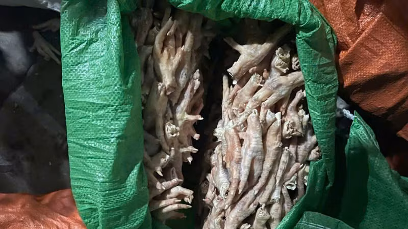qltt-2.jpg