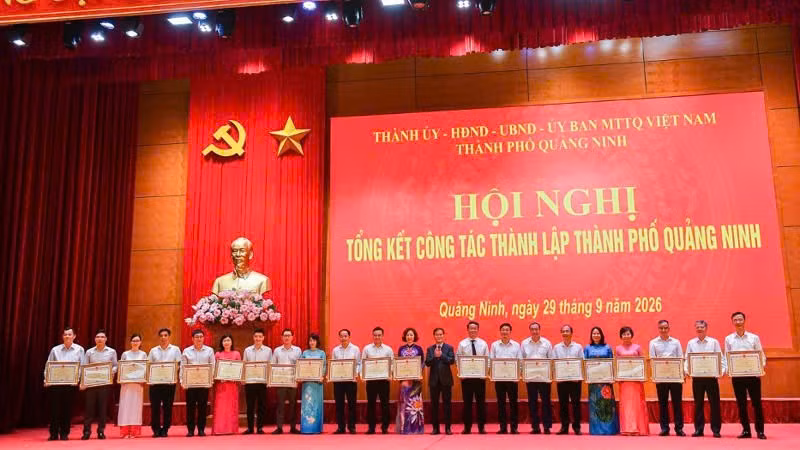tp-358.jpg