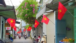 Cờ Tổ quốc đã được treo tại các khu phố ở Cần Thơ.