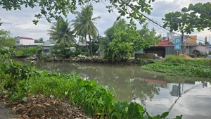 Một đoạn rạch Đầu Sấu.