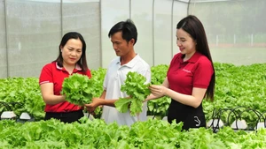 Agribank kiến tạo hệ sinh thái xanh, bền vững.