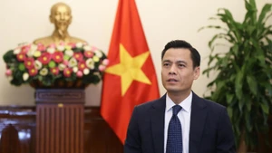 Thứ trưởng Ngoại giao Đặng Hoàng Giang. (Ảnh: Bộ Ngoại giao)