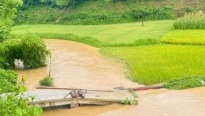 Mưa lũ gây ngập, hư hại cầu tràn tại xã Cẩm Giàng, huyện Bạch Thông. (Ảnh: THU TRANG)
