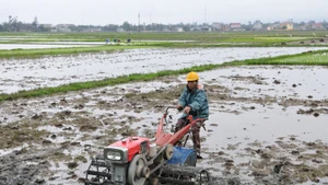 Nông dân ở xã Lộc Hà, tỉnh Hà Tĩnh làm đất gieo cấy lúa vụ hè thu-mùa. (Ảnh: Đăng Khoa)