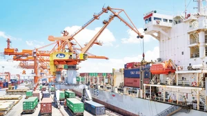Bốc xếp hàng hóa xuất nhập khẩu tại cảng Hải Phòng. (Ảnh DUY LINH)